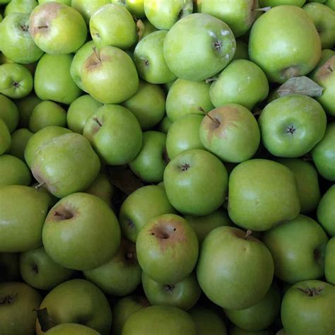 Types Of Green Apples