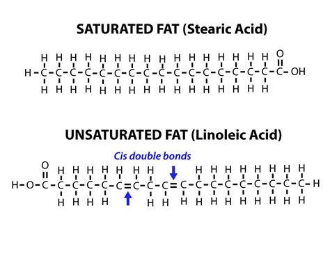 Unsaturated Fatty Acid