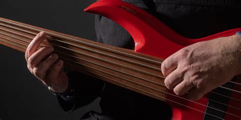 What Is A Fretless Guitar And How To Play It Learn To Play An What Is A Fretless Guitar And How To Play It Learn To Play An