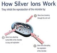 What Is Silver Charge Ion Antimicrobial Benefits