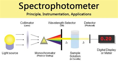 What Is Spectrophotometer Principle Applications Diagram What Is Spectrophotometer Principle Applications Diagram