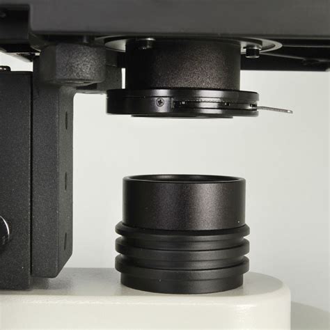 Wolfe Led Educational Microscopes Carolina Biological Supply Wolfe Led Educational Microscopes Carolina Biological Supply
