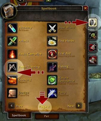 5 Classic Pet Abilities