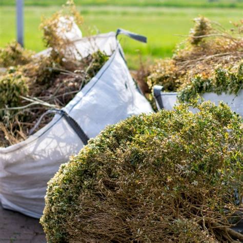 Yard Waste Removal Service In Saint Cloud Mn Instant Online Pricing Loadup Yard Waste Removal Service In Saint Cloud Mn Instant Online Pricing Loadup