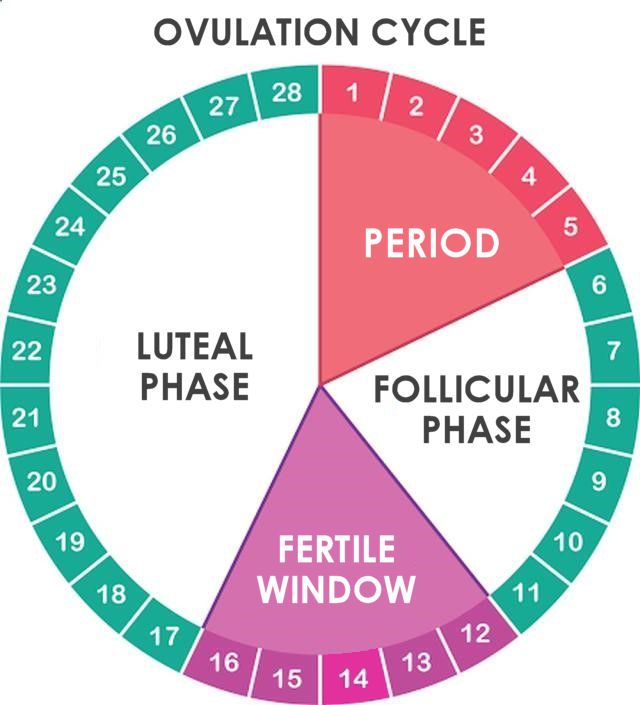 Yesterday S Post Was About Period Cycle Today Is About Period Colour Yesterday S Post Was About Period Cycle Today Is About Period Colour
